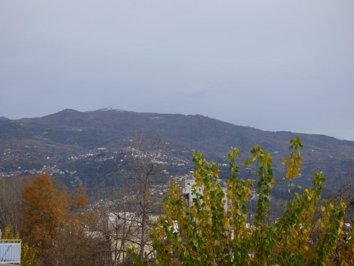 Old City View Apartment Volos Exterior foto